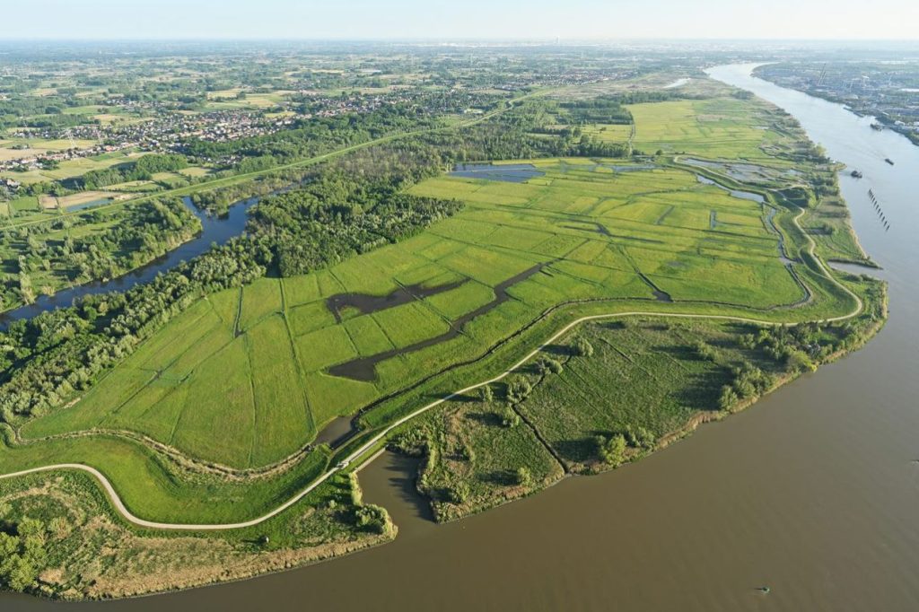 Polders de Kruibeke